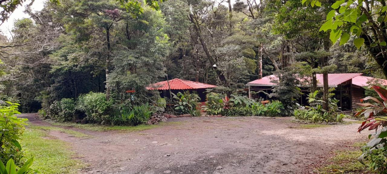 Cabanas La Montana Mountain Lodge Monteverde Exterior foto